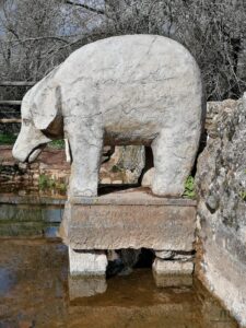 Fuente del Elefante Amedina Córdoba